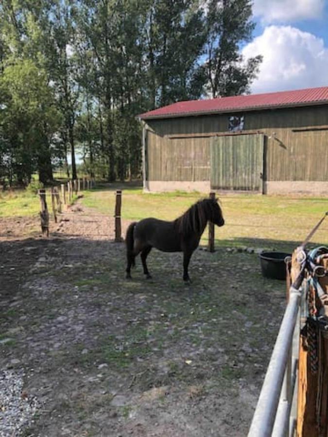 Bequemschlafen Farm stay
