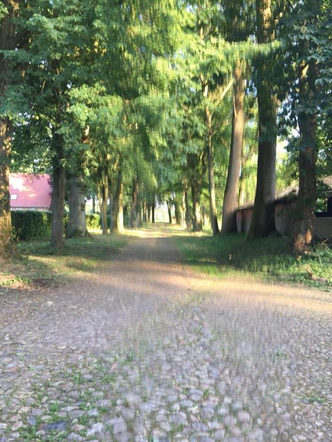 Bauernhof Bequemschlafen Heidenau (Lower-Saxony)